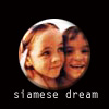 Siamese Dream